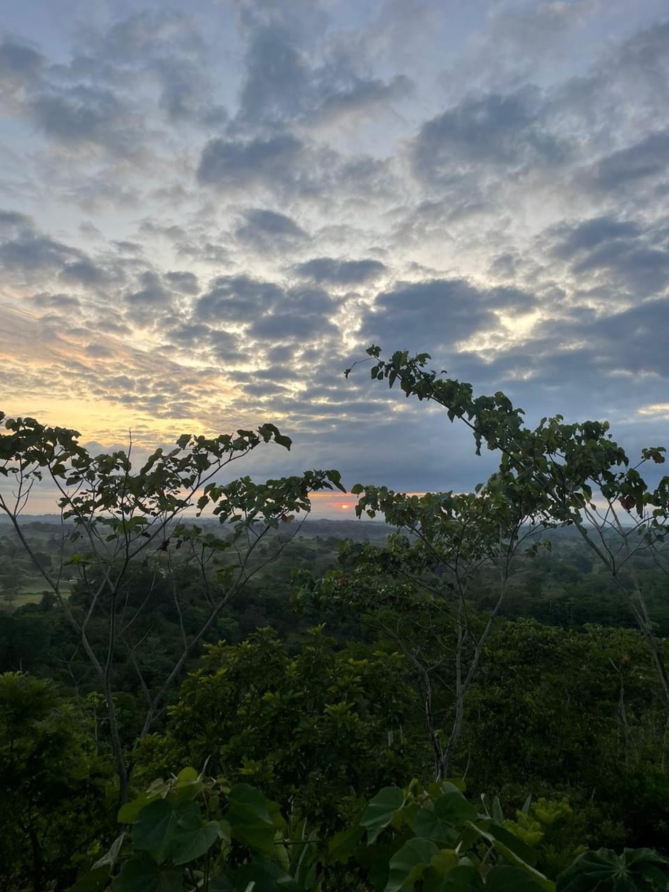 Natural landscape, Sunrise