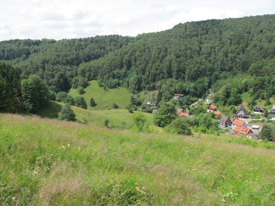 Garden, Garden view, Mountain view