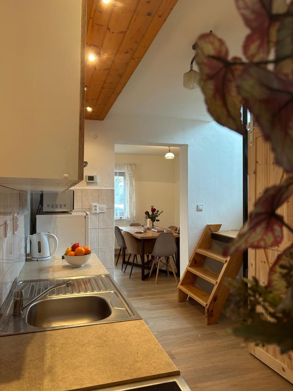 Kitchen or kitchenette, kitchen