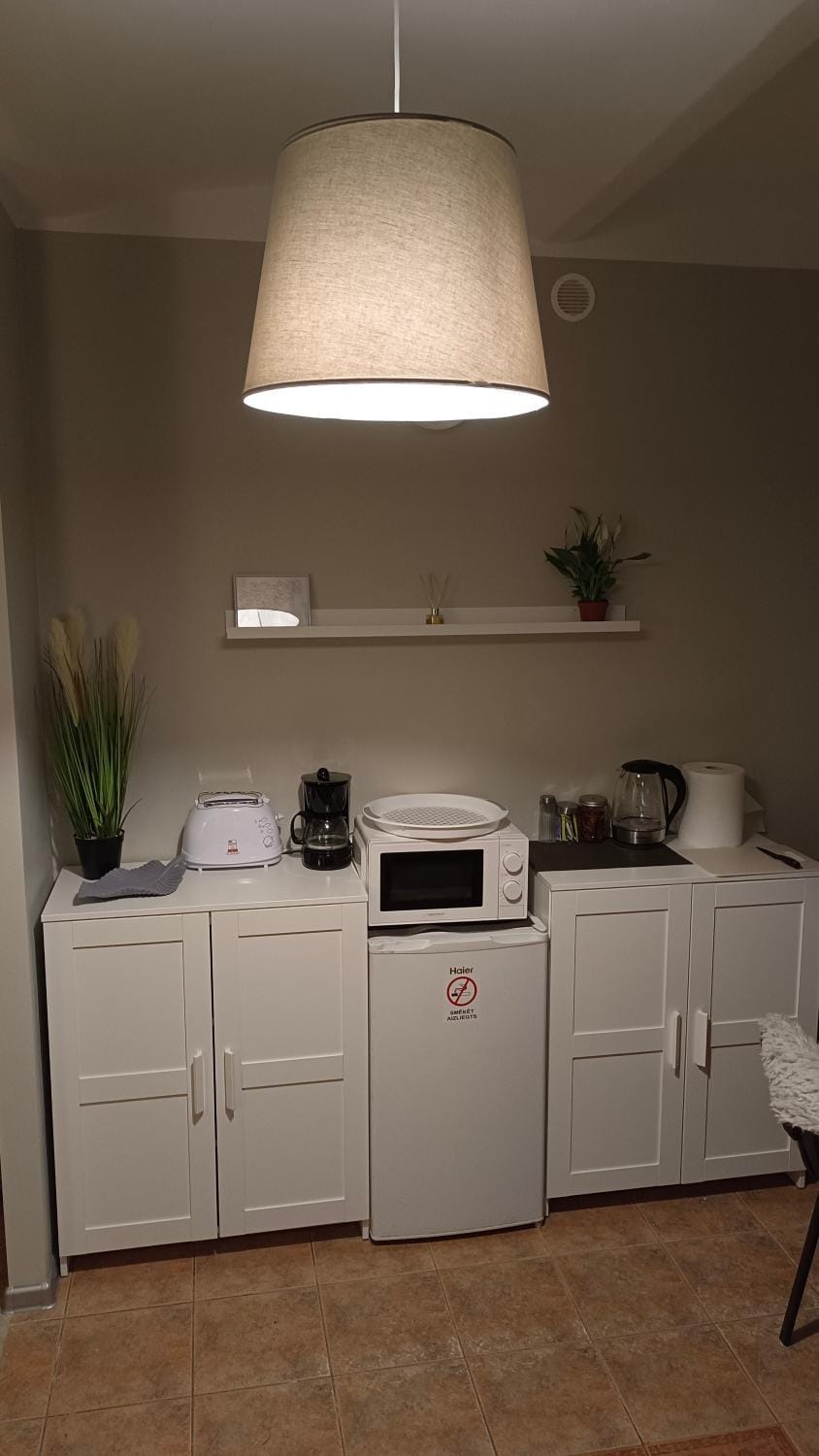 Kitchen or kitchenette, minibar