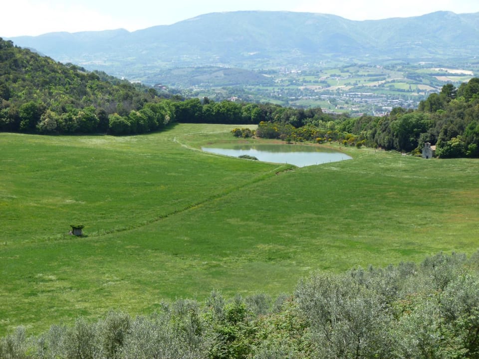 Lake view