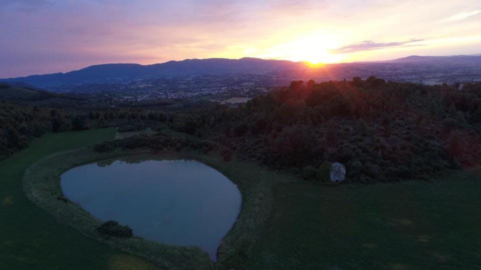 Lake view