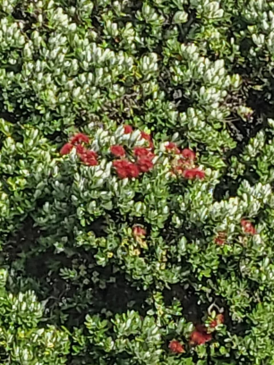 Natural landscape