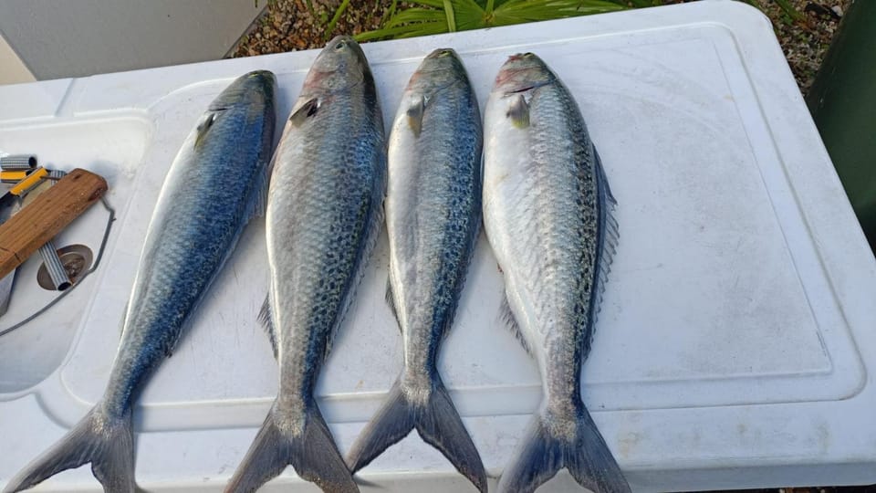Fishing
