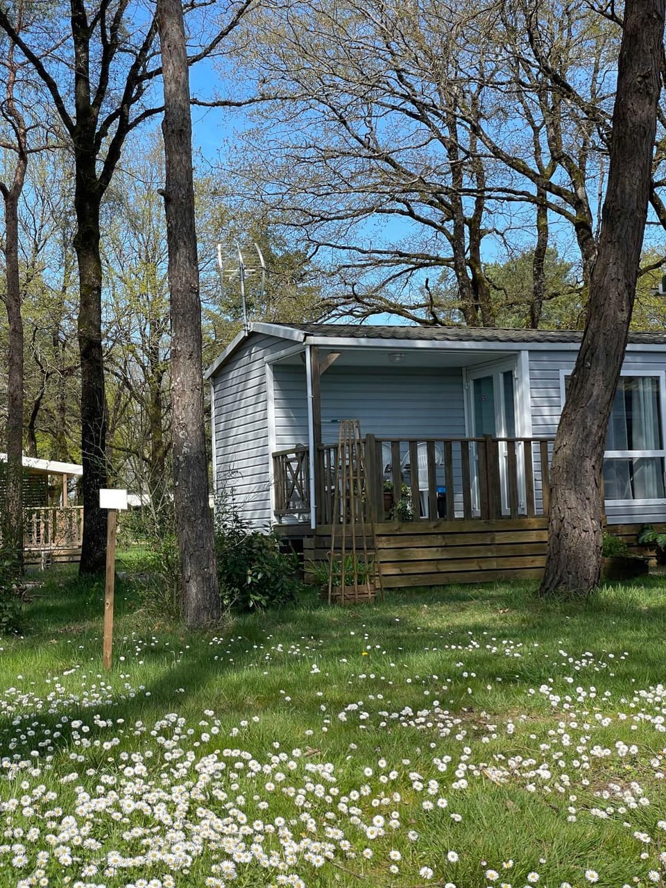 Property building, Spring