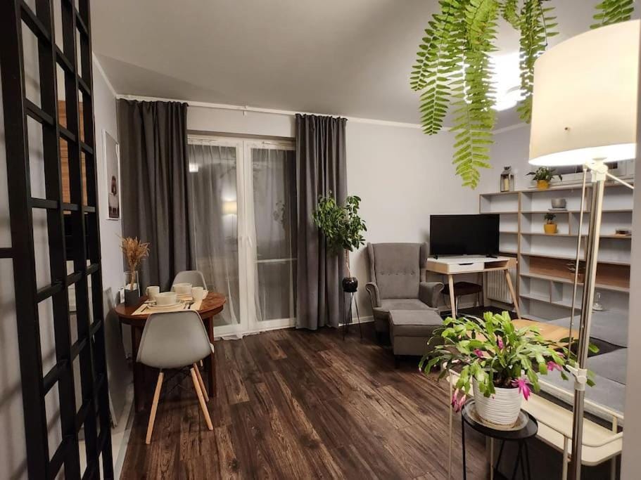 TV and multimedia, Living room, Evening entertainment, hair dresser