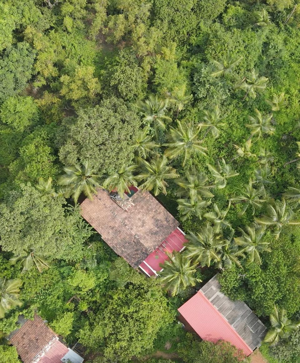 Bird's eye view, Garden view