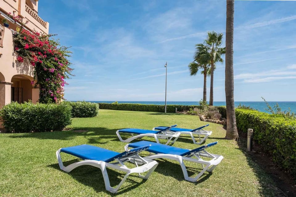Patio, Garden, Garden view