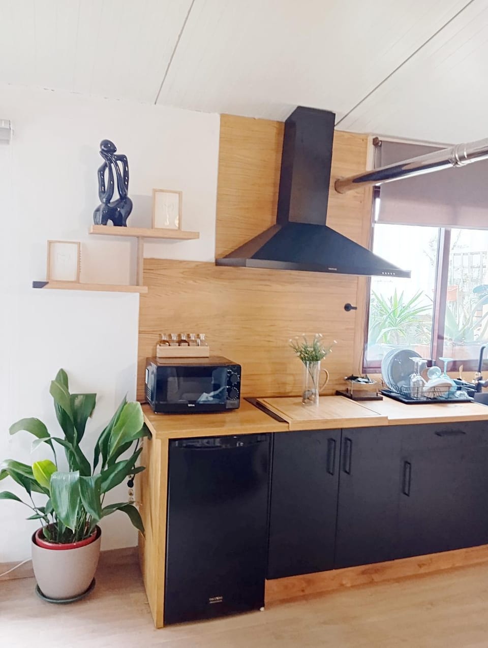 Kitchen or kitchenette, pet friendly, stove, toaster