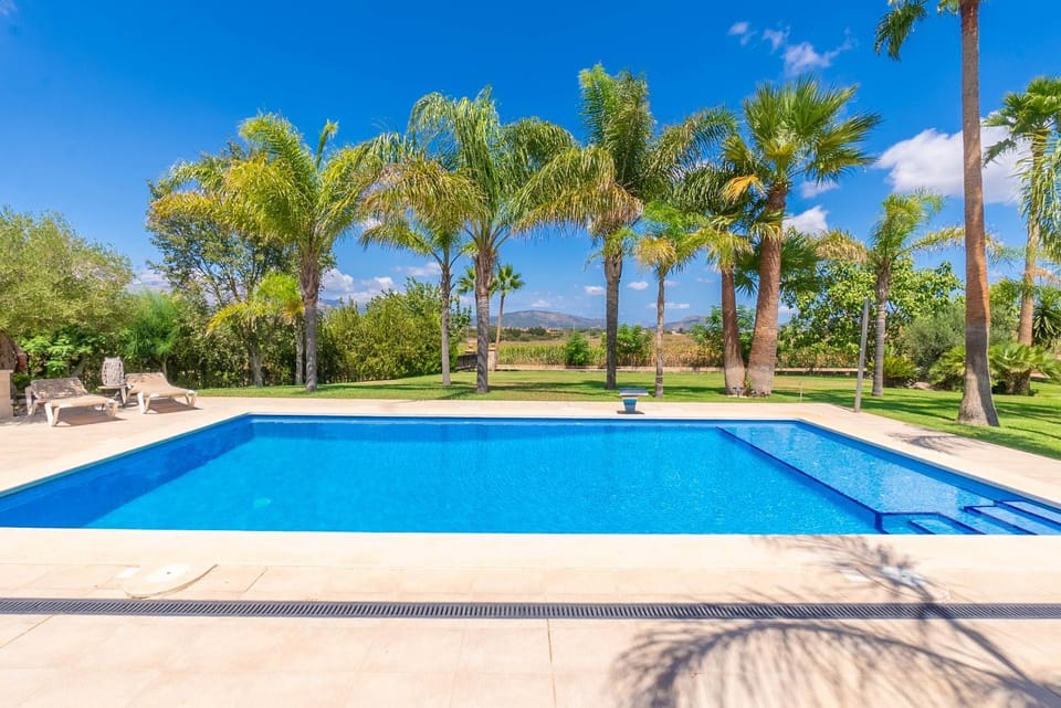 Swimming pool, sunbed
