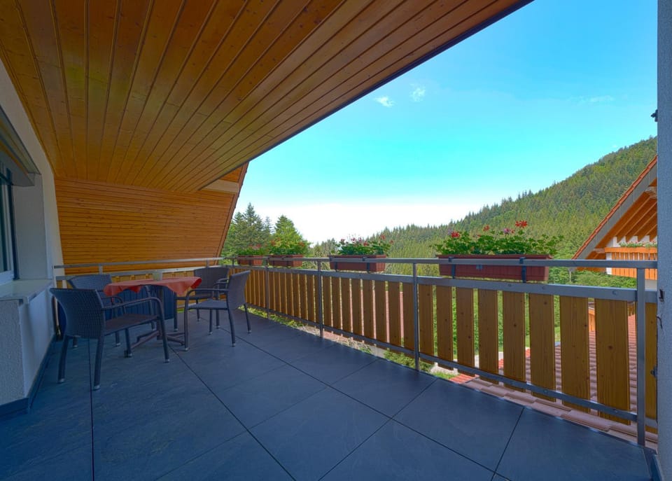 Natural landscape, View (from property/room), Balcony/Terrace, Mountain view