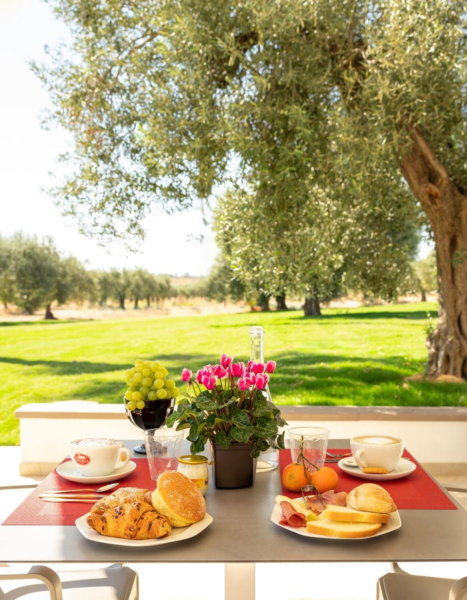 Day, Natural landscape, Garden, Food and drinks, Breakfast, Continental breakfast