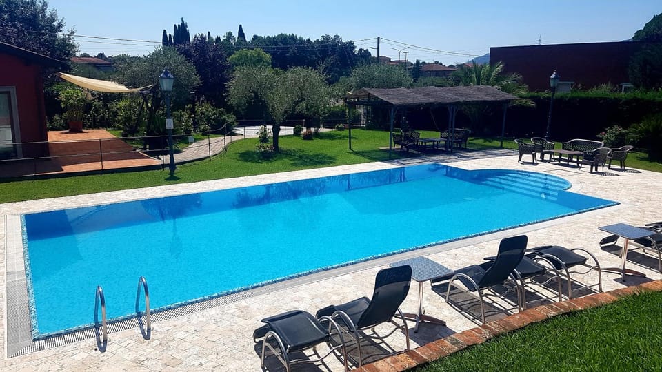 Natural landscape, Garden, Pool view, Swimming pool, sunbed