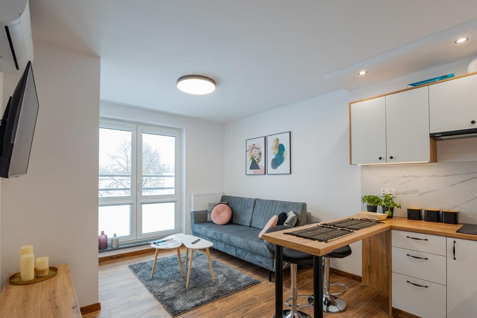 Vip Apartamenty Niecia z klimatyzacja Apartment in Poland