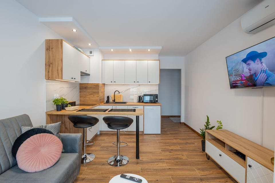 Vip Apartamenty Niecia z klimatyzacja Apartment in Poland