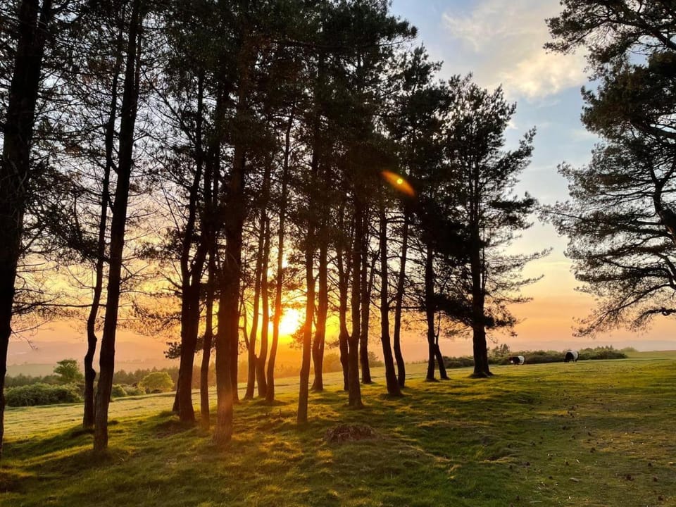 Spring, Day, Natural landscape, Sunrise, Sunset