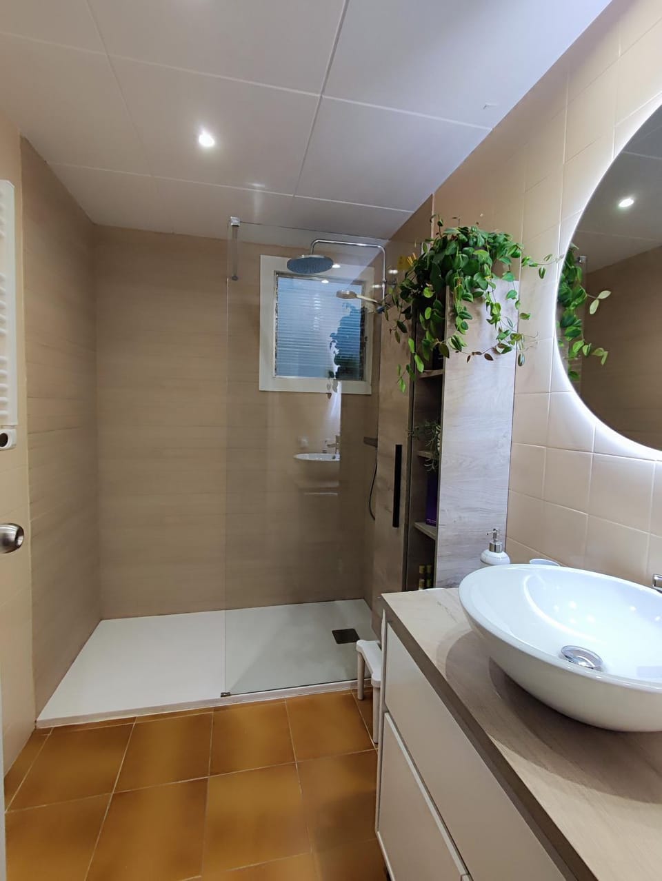 Shower, Bathroom