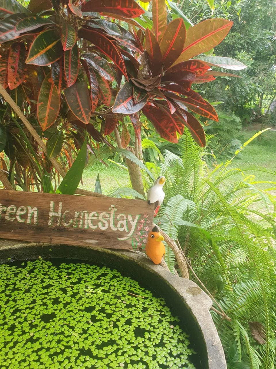 Mind's Homestay มายด์โฮมสเตย์ Vacation rental in Thailand