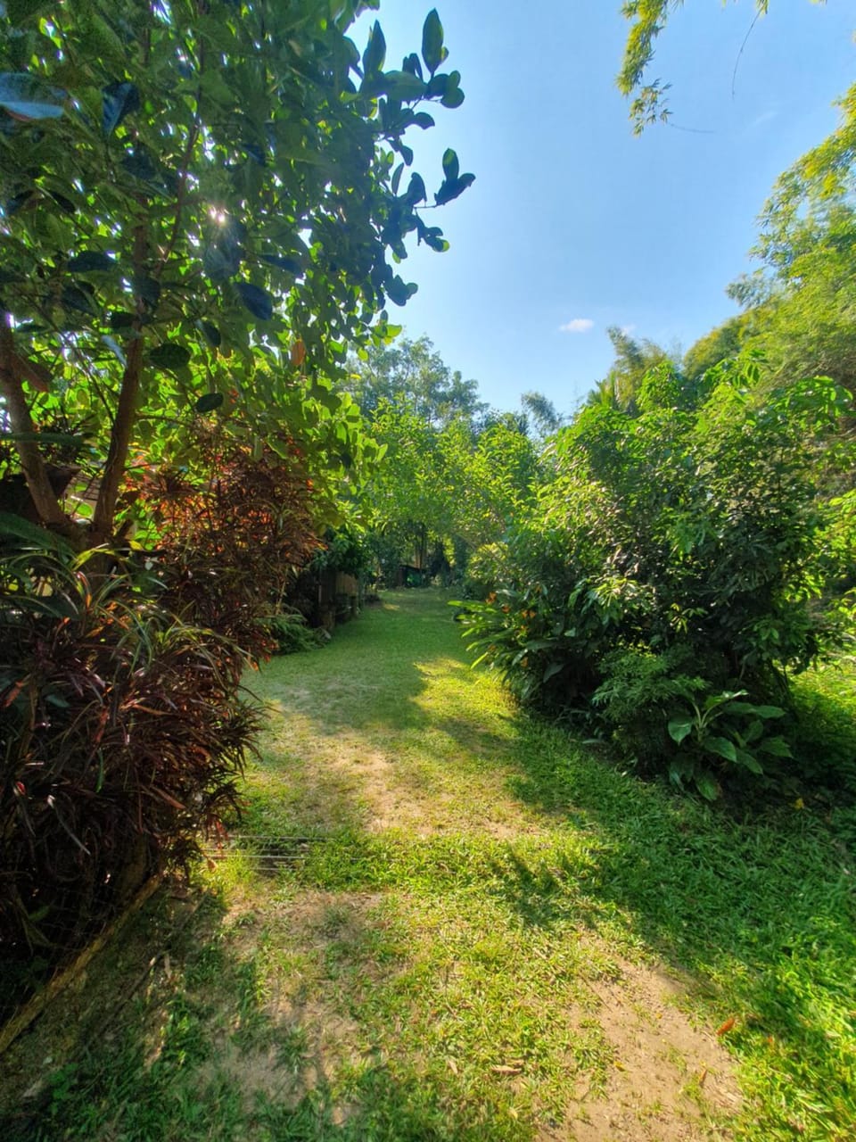 Mind's Homestay มายด์โฮมสเตย์ Vacation rental in Thailand
