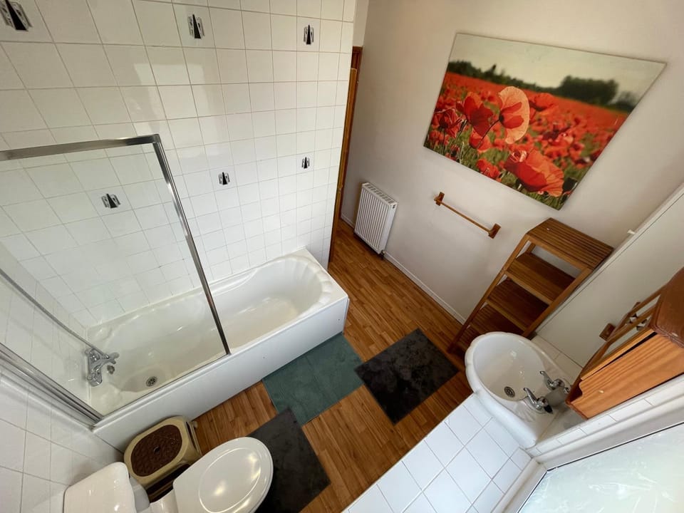 Toilet, Bathroom, Bath