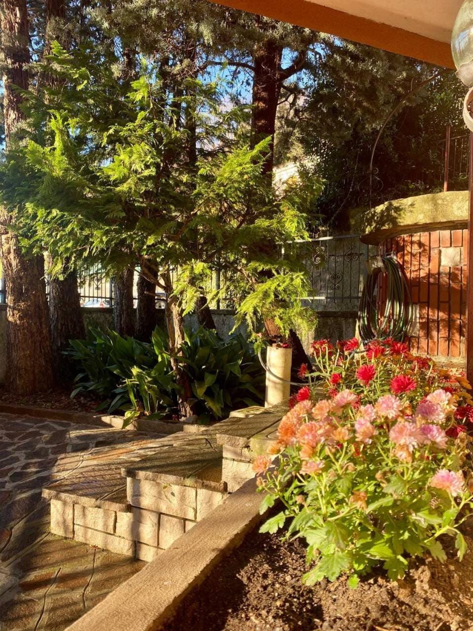 Garden view, Inner courtyard view