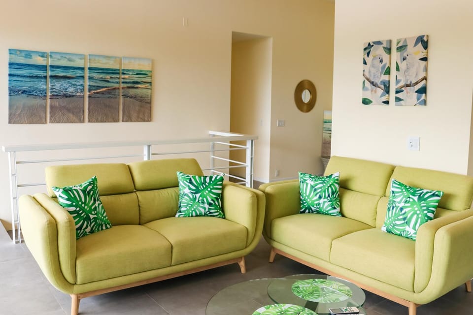 Casa Nalifos House in Playa Flamingo