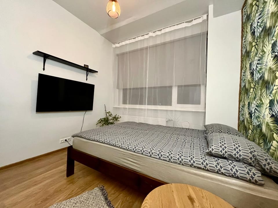 Bed, TV and multimedia