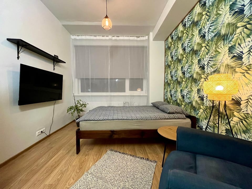 Bed, TV and multimedia