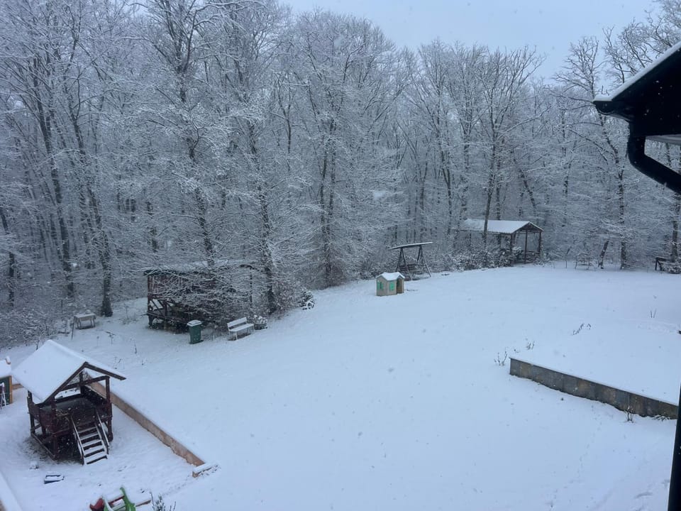 Day, Natural landscape, Winter