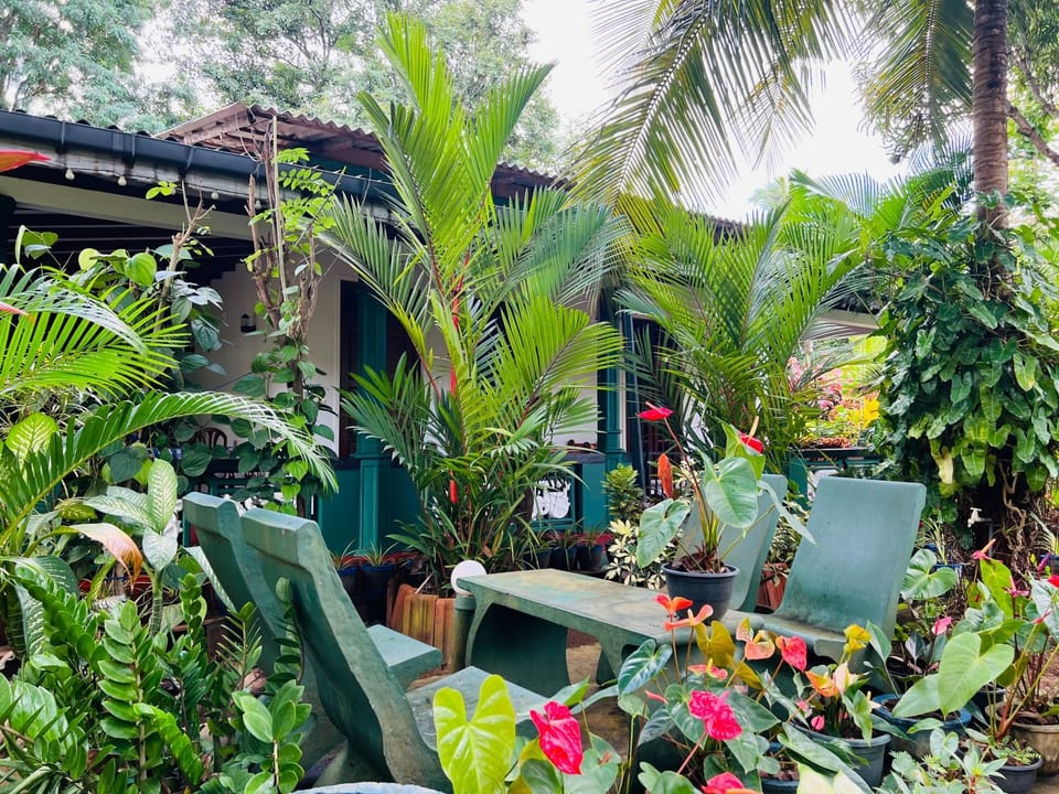 Garden view
