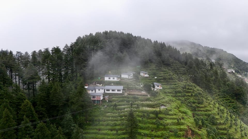 The Deodar Stays Resort in Uttarakhand