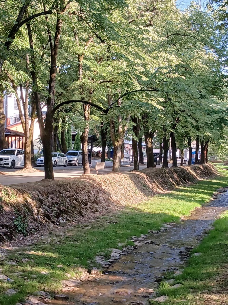 Apartman Sita Apartment in Serbia