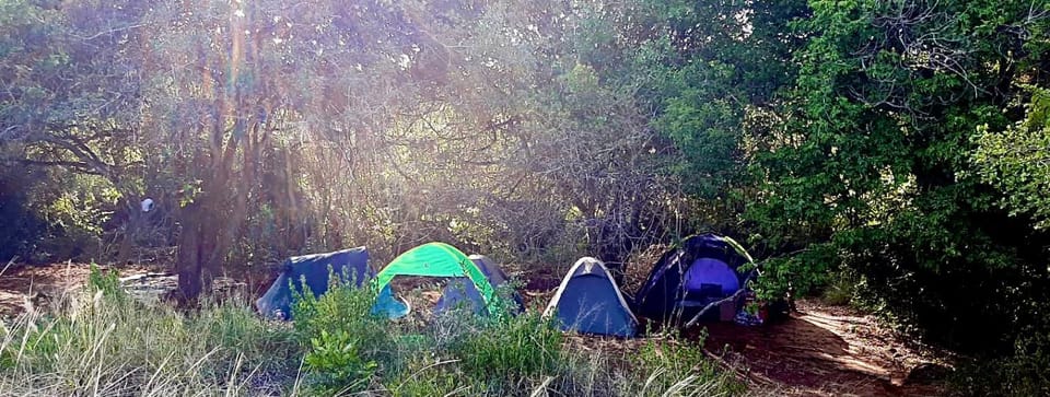 Natural landscape, group of guests