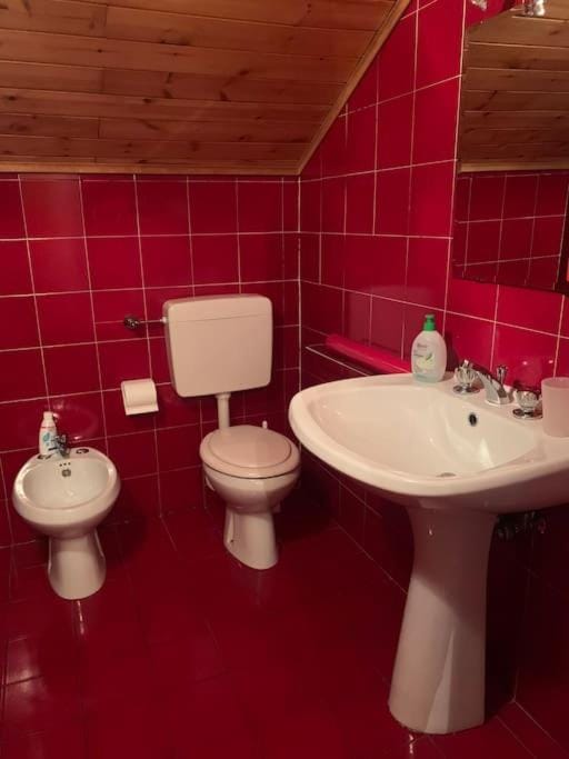 Toilet, Bathroom, bidet