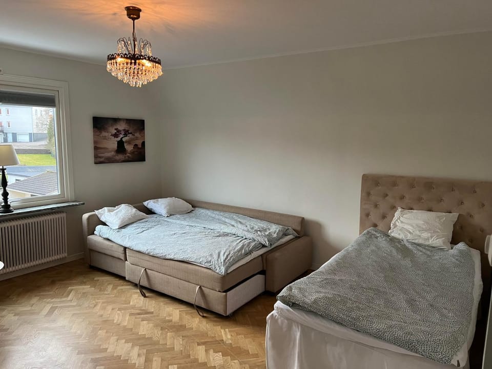 Property building, Communal lounge/ TV room, TV and multimedia, Guests, Guests