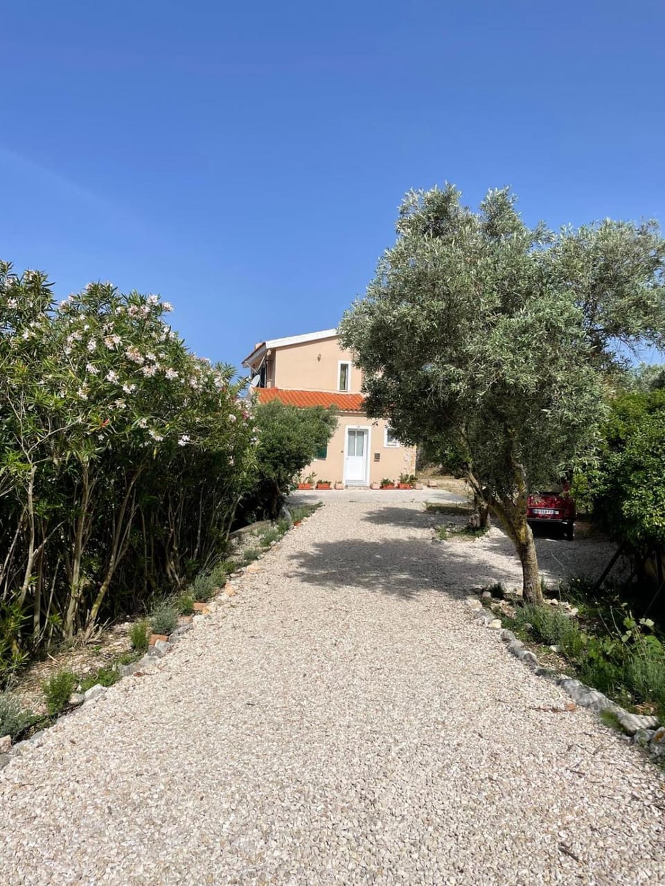 Garden view