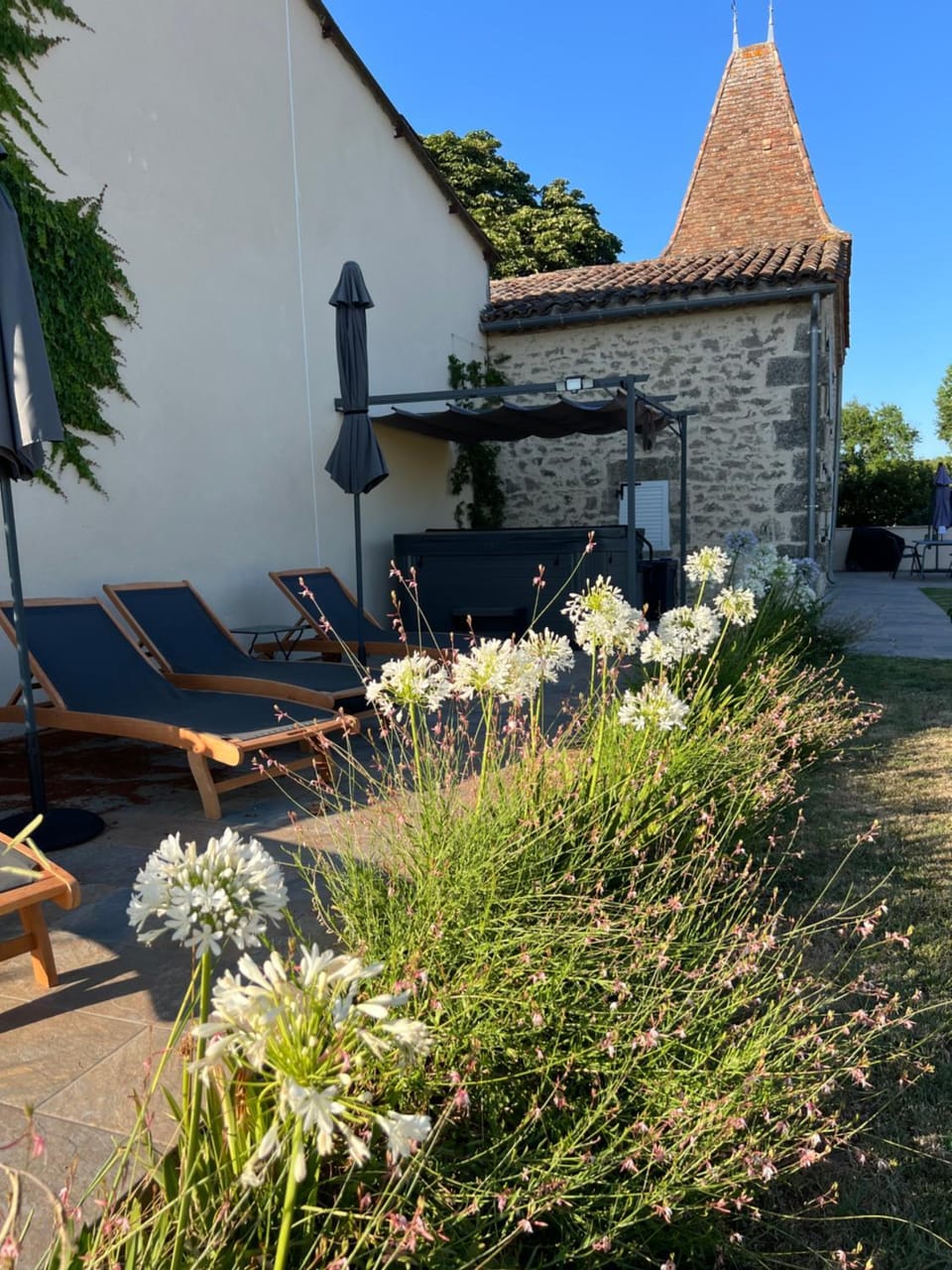 Garden view