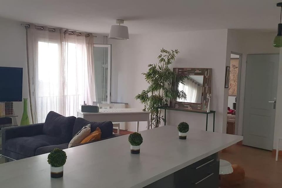 Bel et grand appartement chaleureux hyper centre Apartment in Avignon