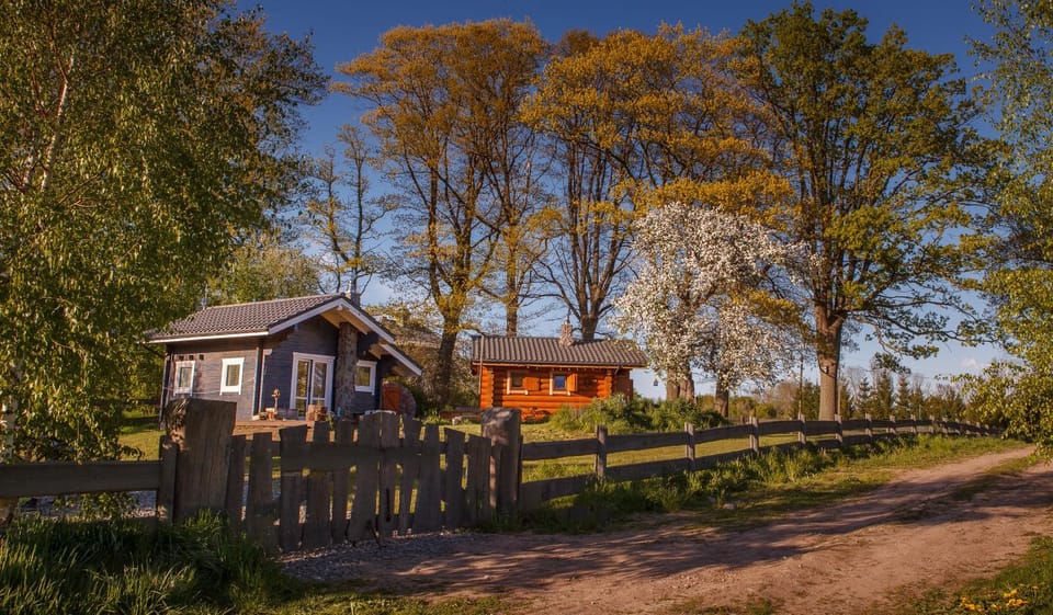 Property building, Spring, Day, Natural landscape, Garden, Garden view