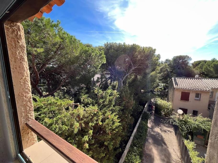 Day, Garden, Garden view