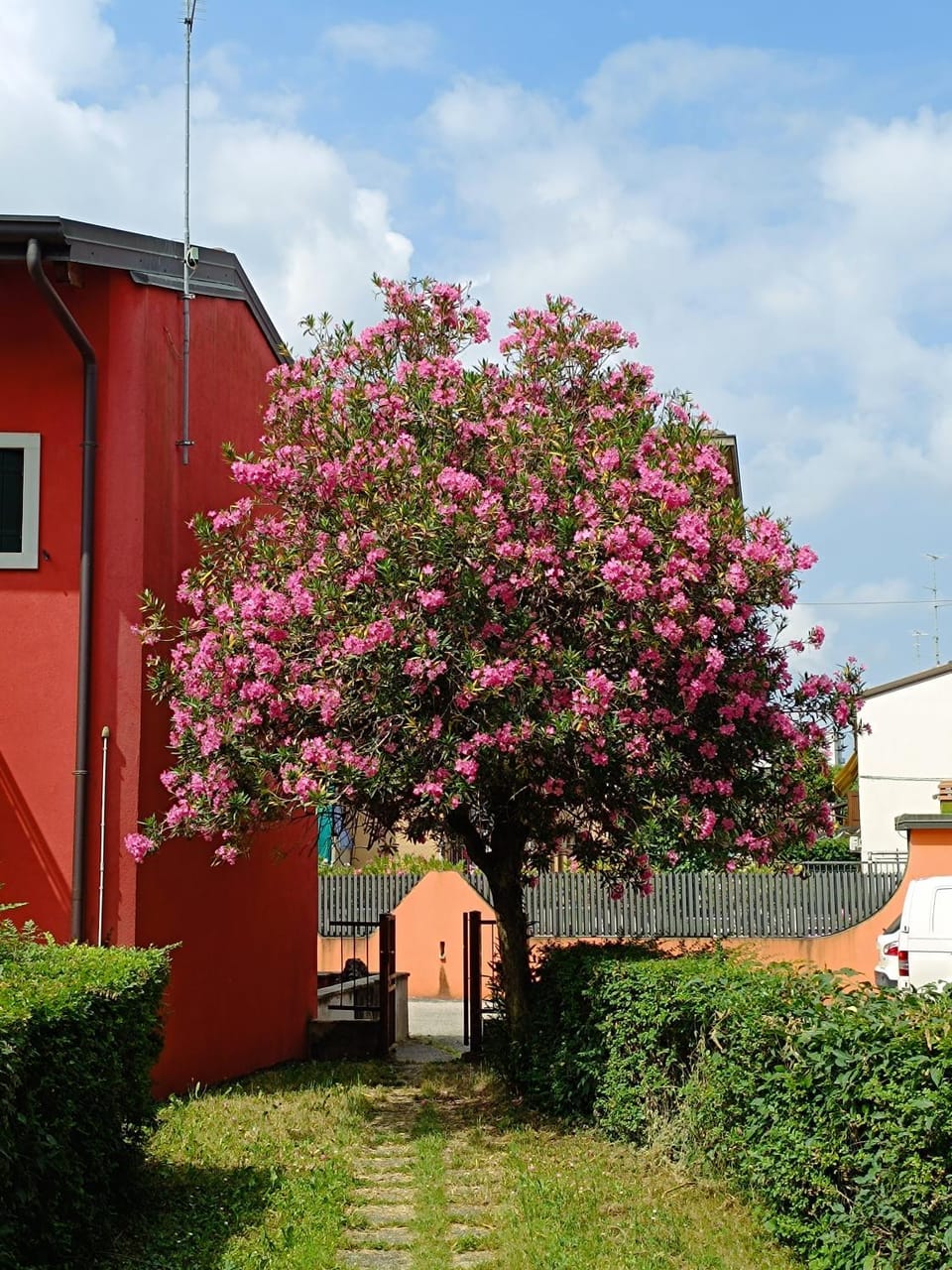 Spring, Garden, Garden view