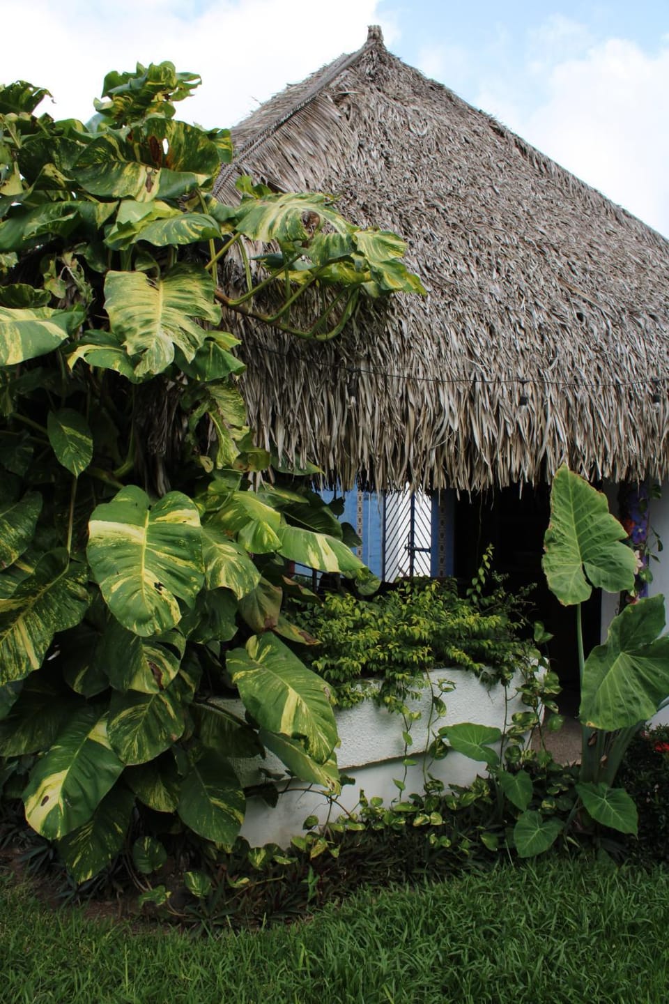 Bungalows Las Tortugas Hotel in Lo de Marcos