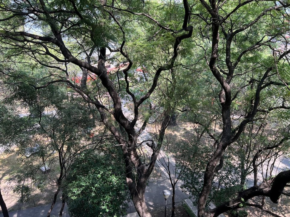 View (from property/room)
