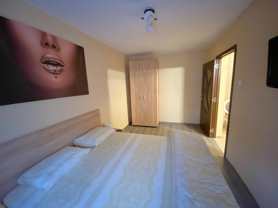Apartament Ultracentral Apartment in Romania