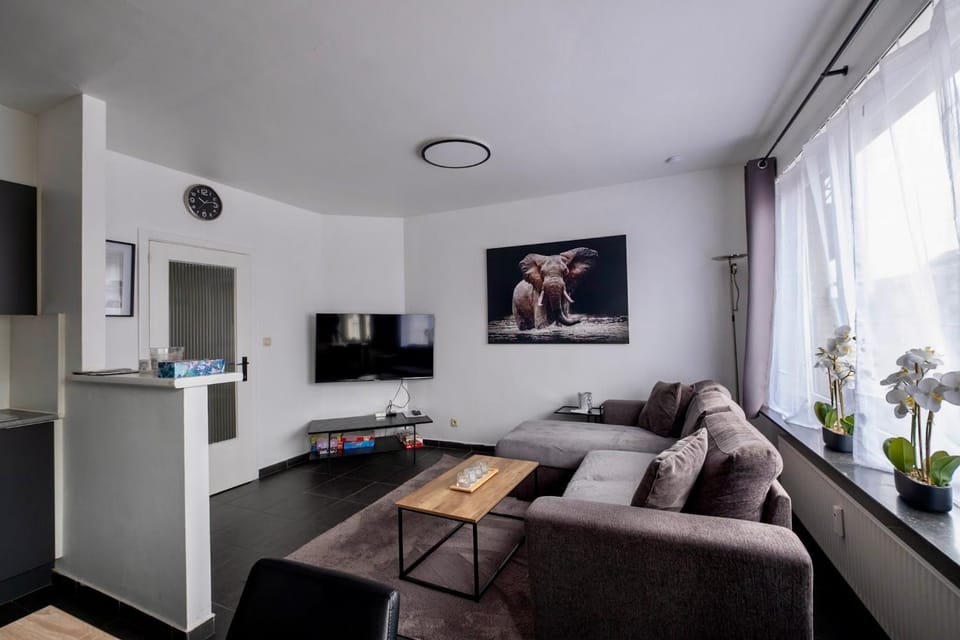TV and multimedia, Kitchen or kitchenette, Living room, Seating area, Evening entertainment