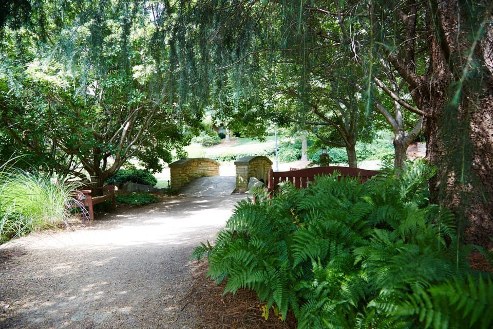 Garden, Spa and wellness centre/facilities, Garden view, Garden view