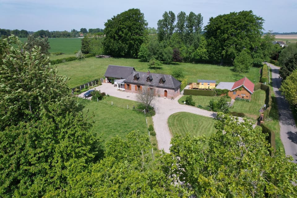Natural landscape, Bird's eye view, Garden