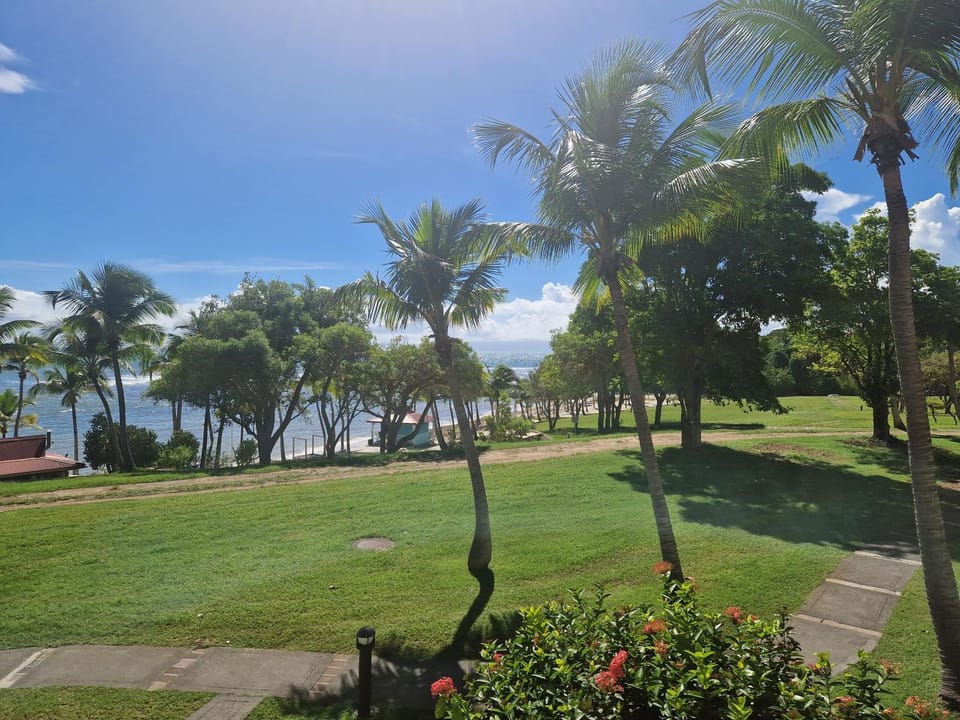 Natural landscape, Garden view, Sea view