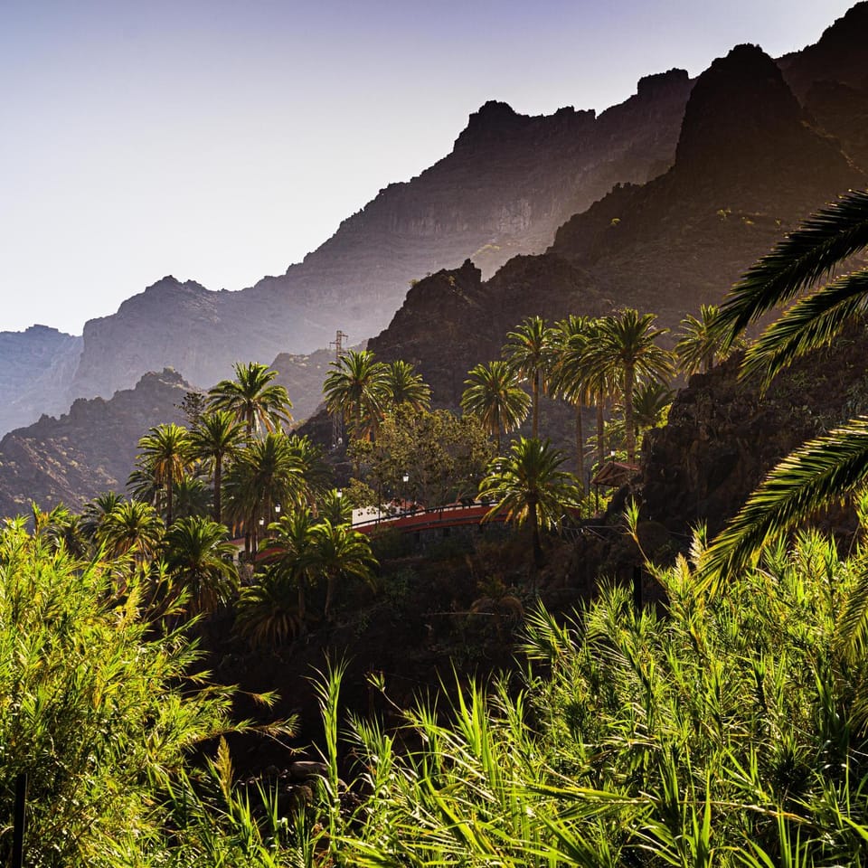 Casa Palmar-Nature Escape-Valle Gran Rey House in Valle Gran Rey