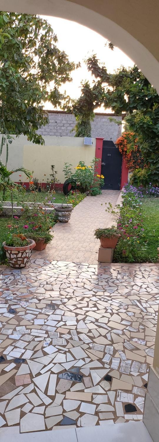 Garden